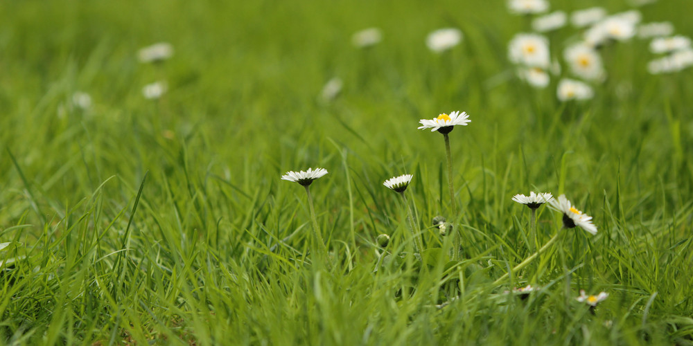 Atlanta Allergy & Asthma Blog