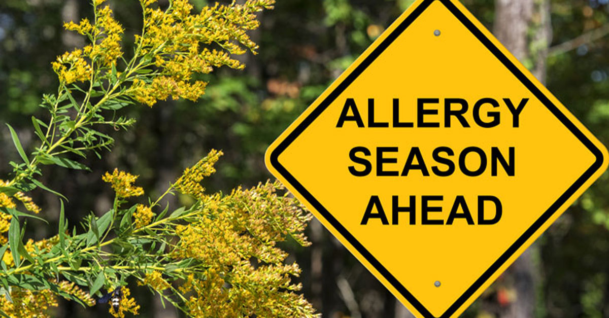 Have You Met Your Deductible? Good Time to Schedule an Allergy Test