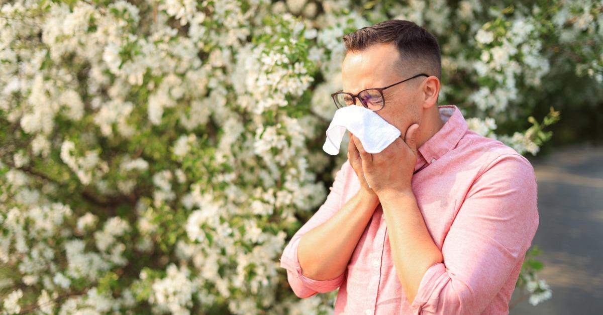 Atlanta Allergy & Asthma News