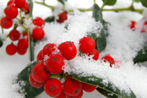 Atlanta Allergy & Asthma Blog