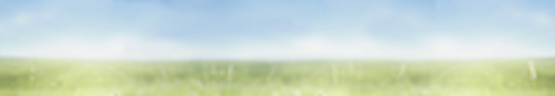 A field of grass.